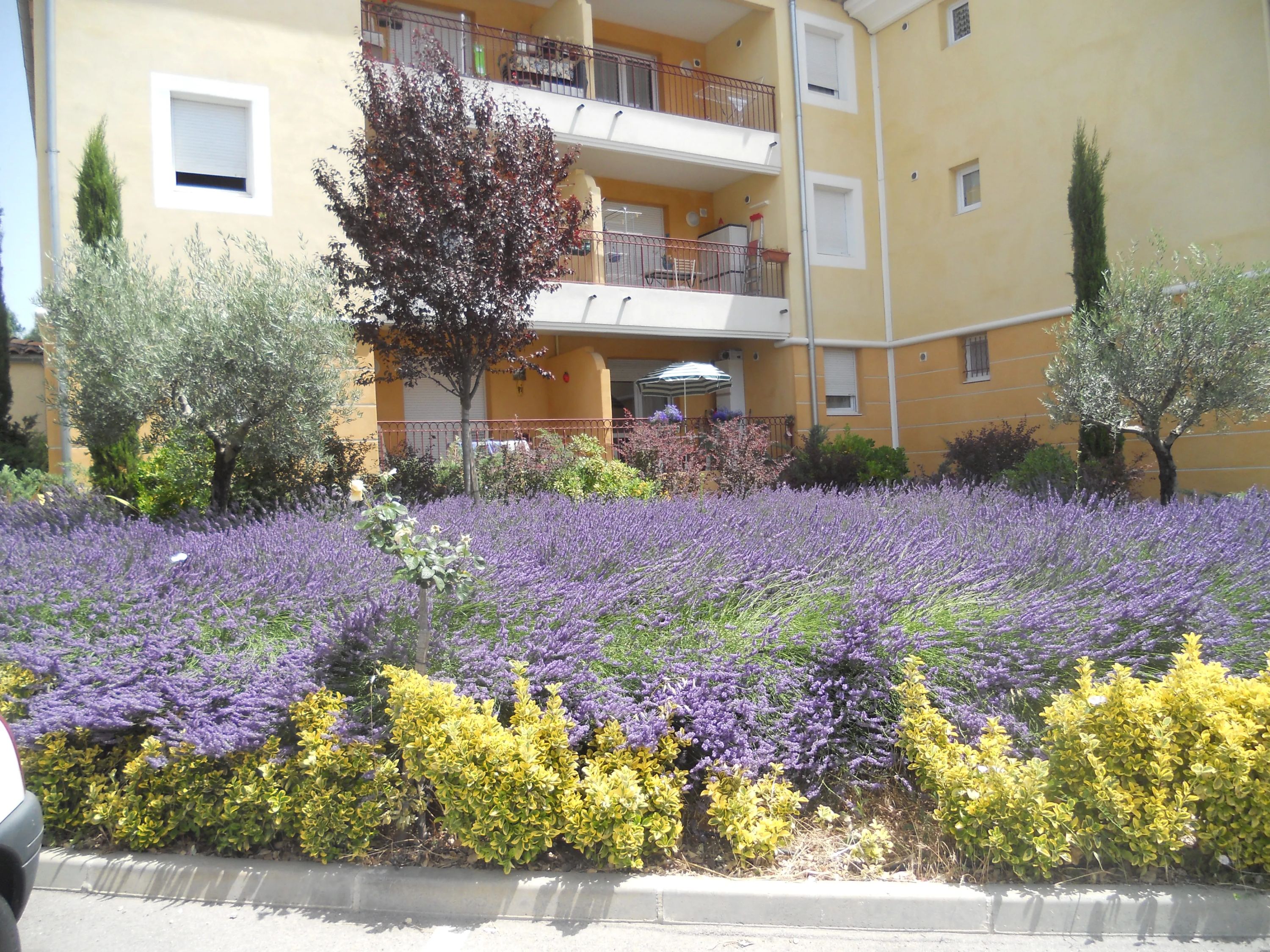 Photo de Résidence Services Les Seniors