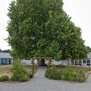 Photo de Residence Iaso