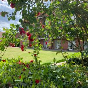 Photo de EHPAD Du Château De Cuinchy