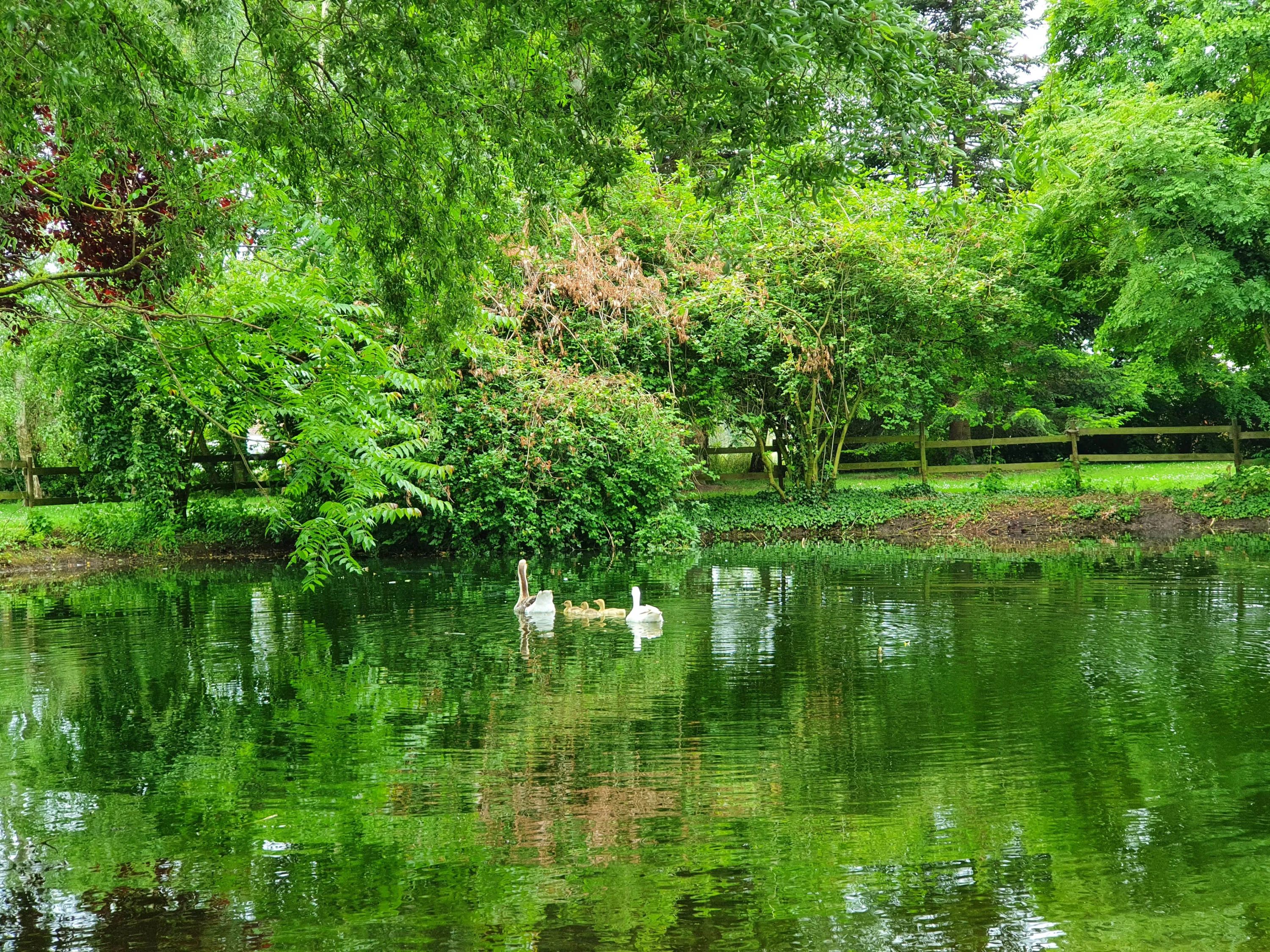 Photo principale de EHPAD Du Château De Cuinchy - Maison de retraite / EHPAD