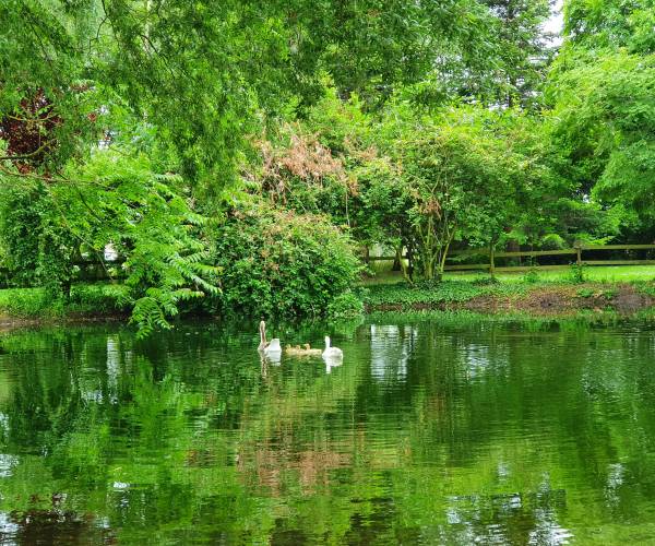 Photo principale de EHPAD Du Château De Cuinchy - Maison de retraite / EHPAD