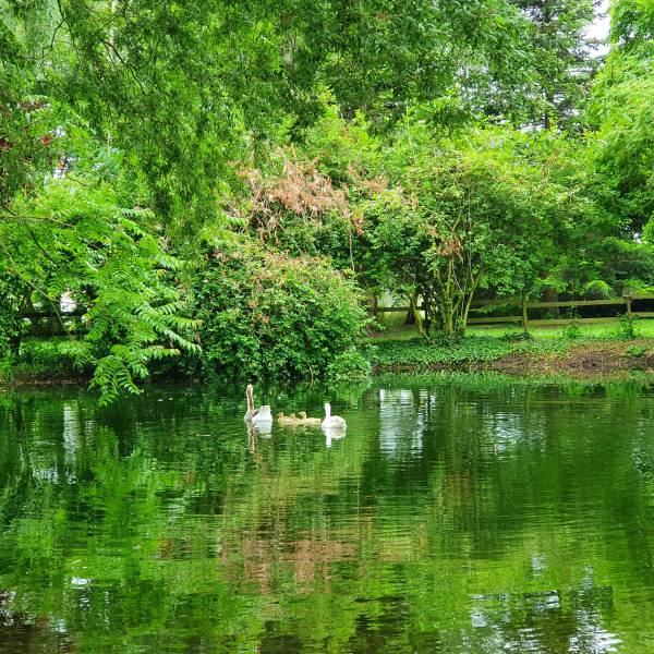 Photo de EHPAD Du Château De Cuinchy - Maison de retraite / EHPAD