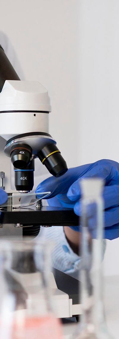 La spermine : une molécule naturelle prometteuse contre Alzheimer et Parkinson